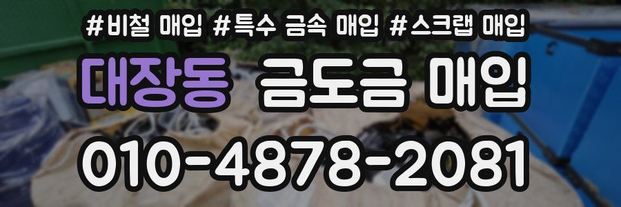 대장동 금도금 매입