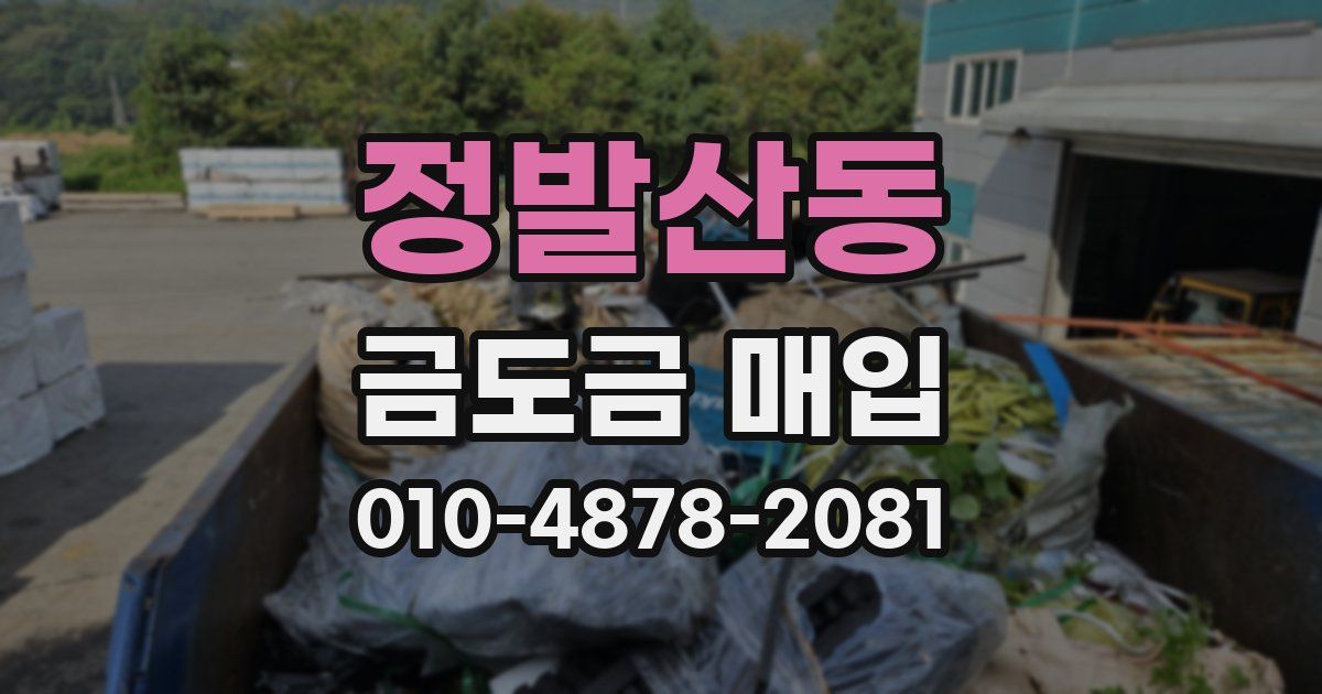 정발산동 금도금 매입
