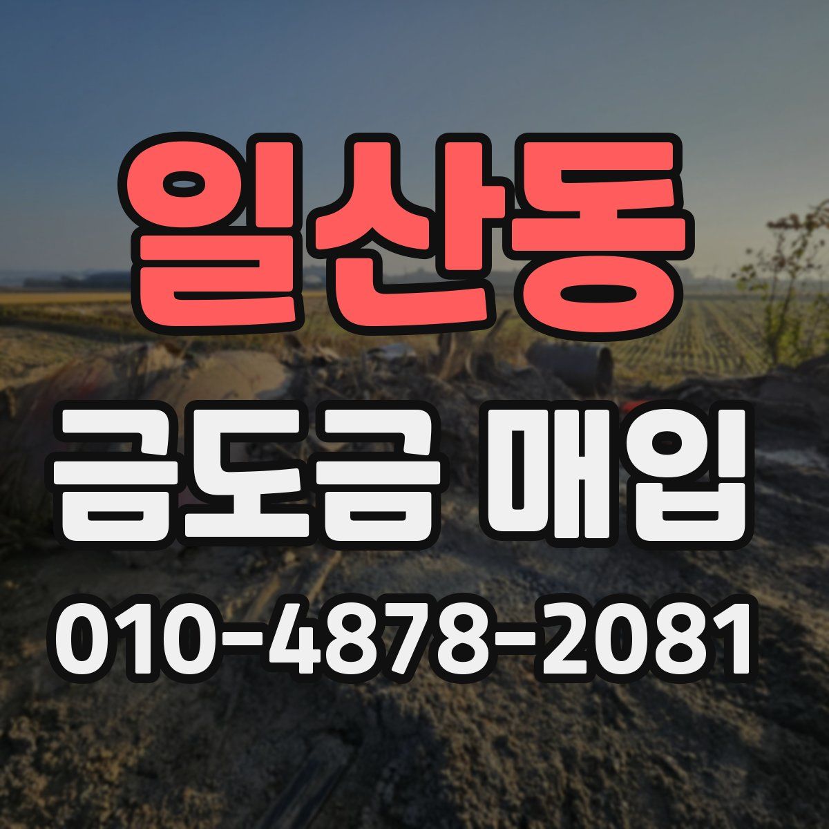 일산동 금도금 매입