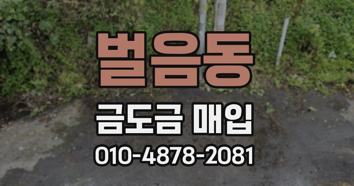 벌음동 금도금 매입