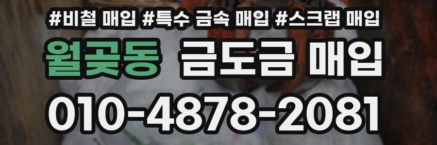 월곶동 금도금 매입