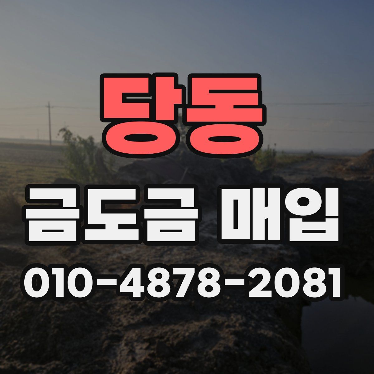 당동 금도금 매입