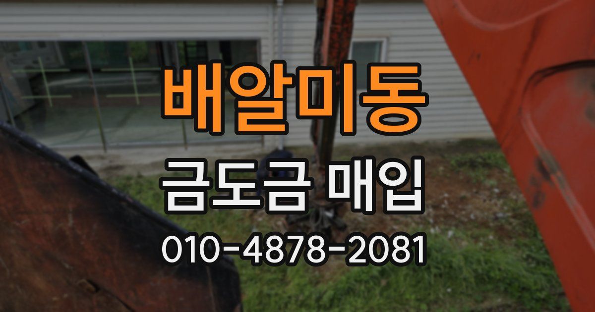 배알미동 금도금 매입