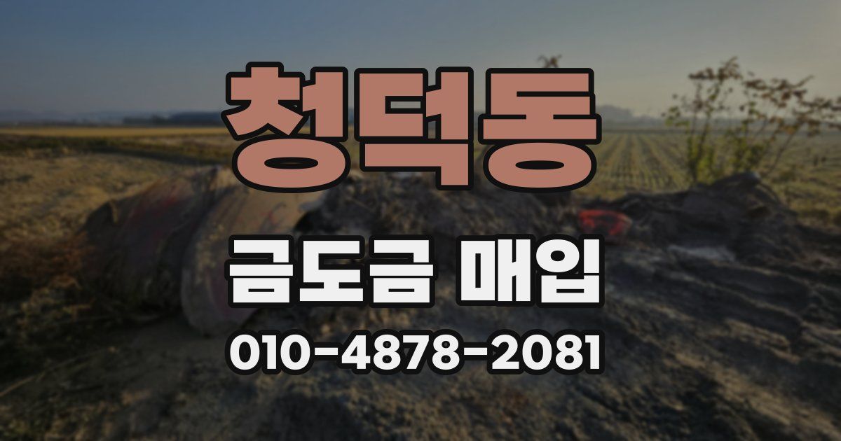청덕동 금도금 매입