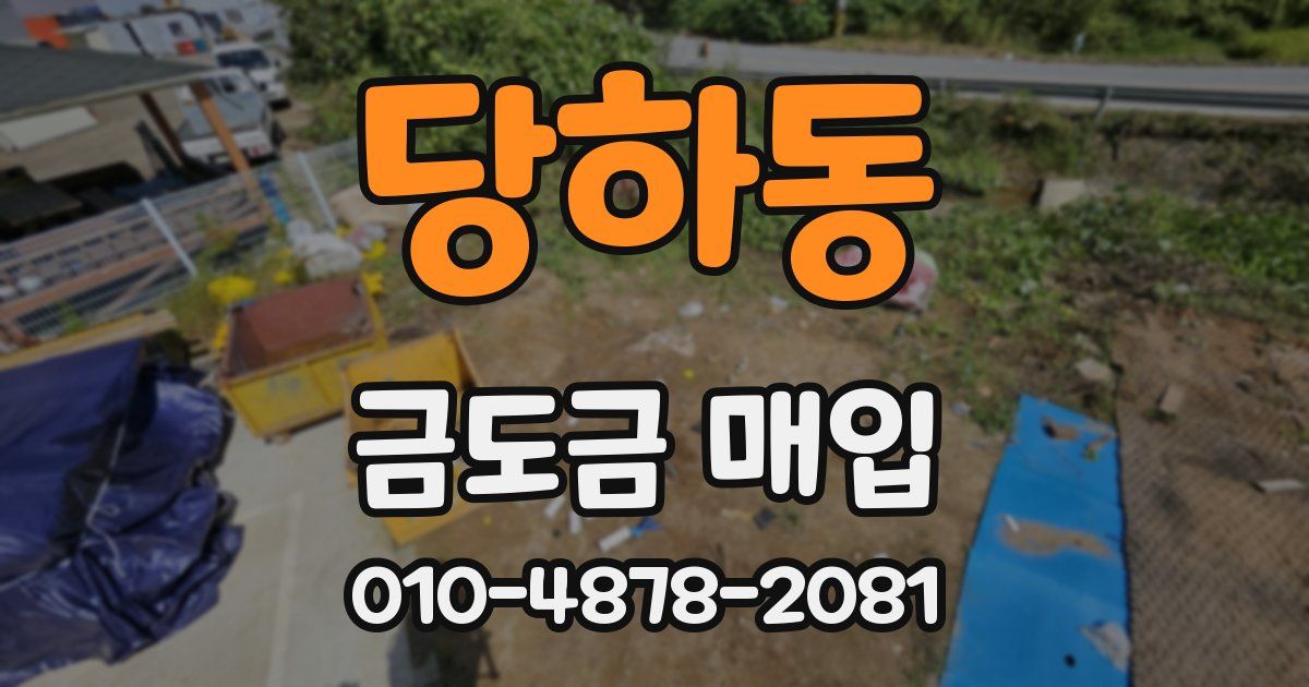 당하동 금도금 매입