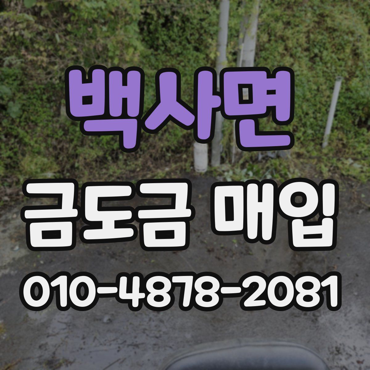 백사면 금도금 매입