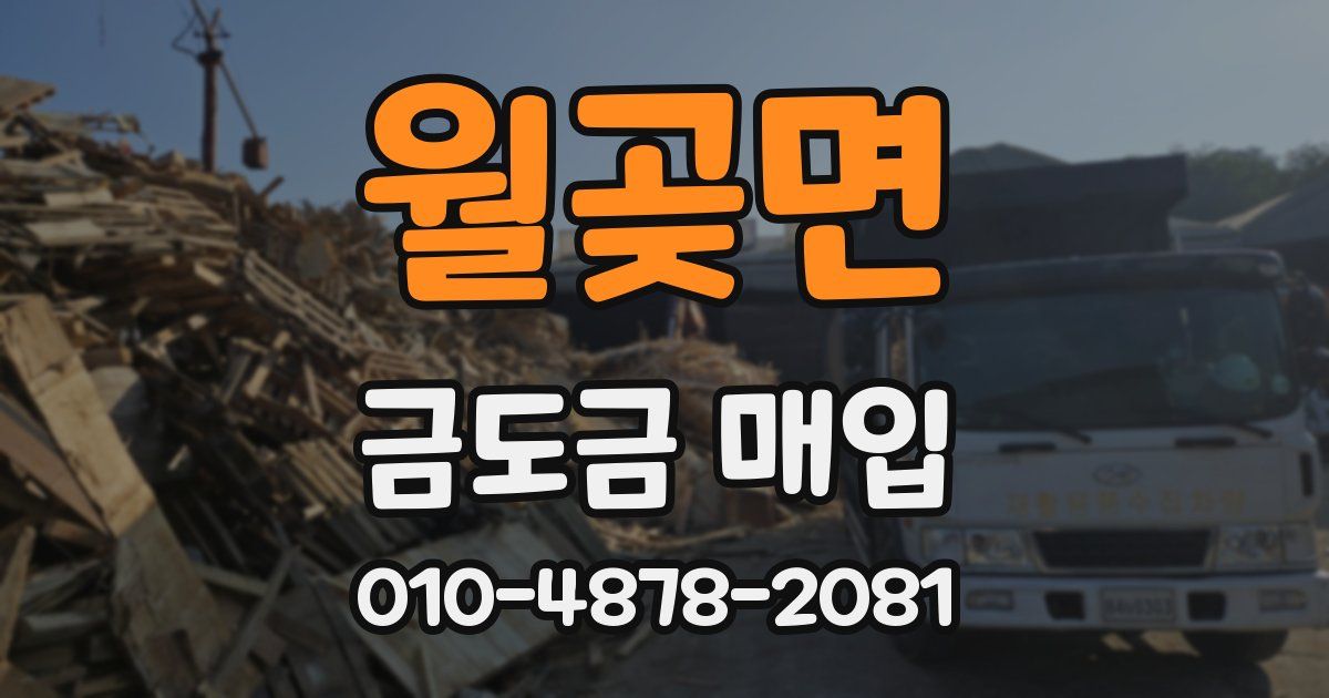 월곶면 금도금 매입