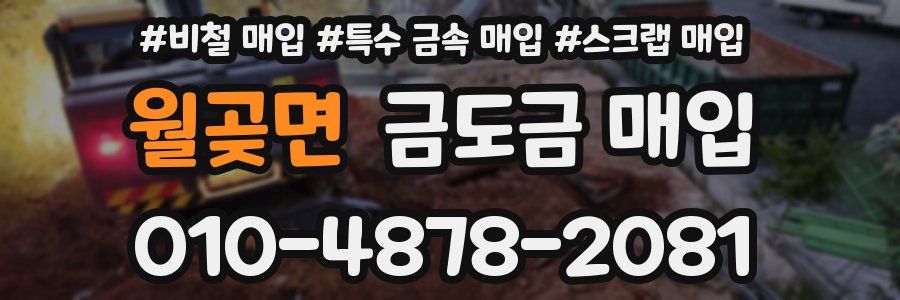 월곶면 금도금 매입