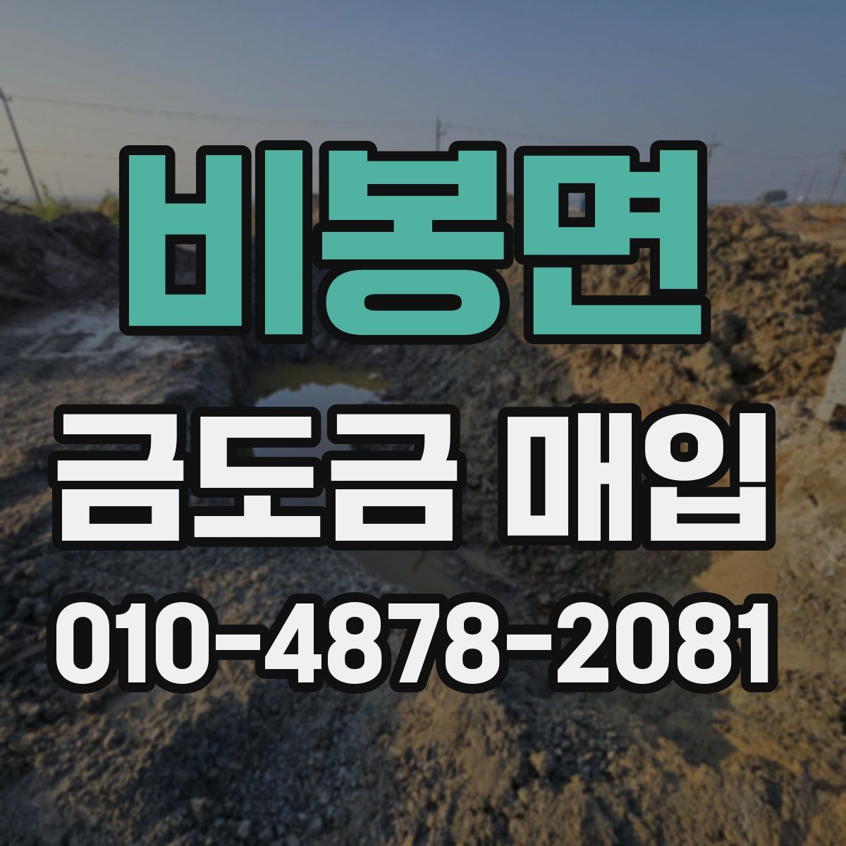 비봉면 금도금 매입