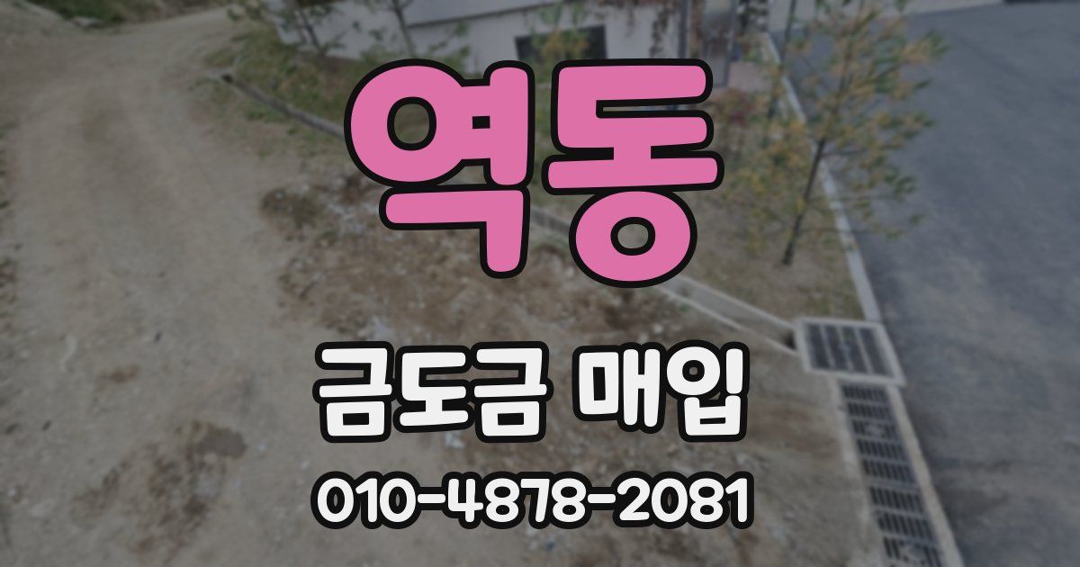 역동 금도금 매입