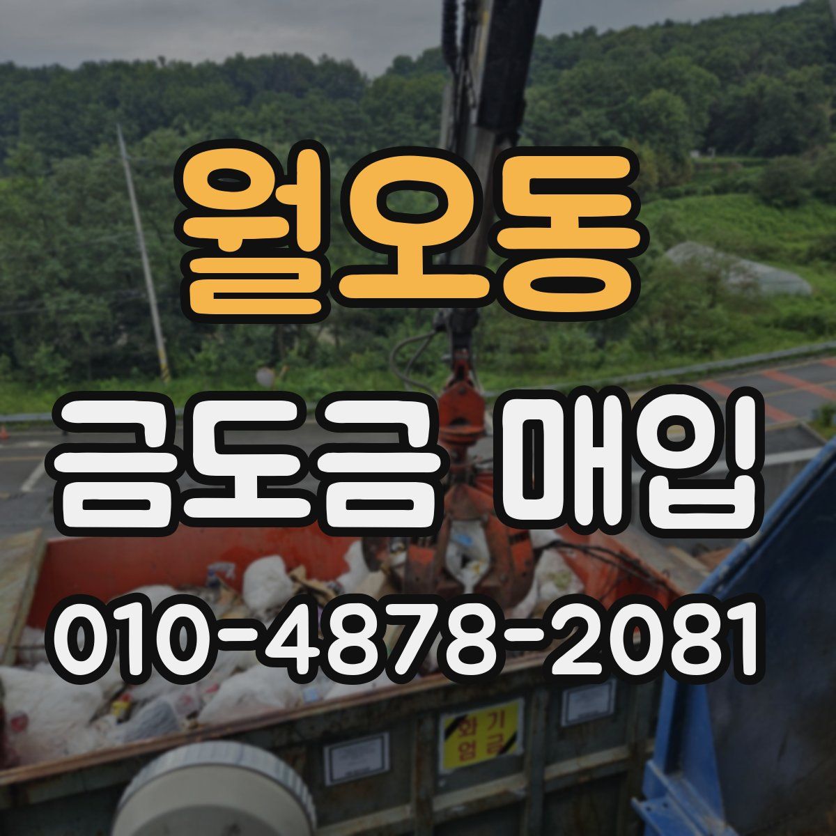 월오동 금도금 매입