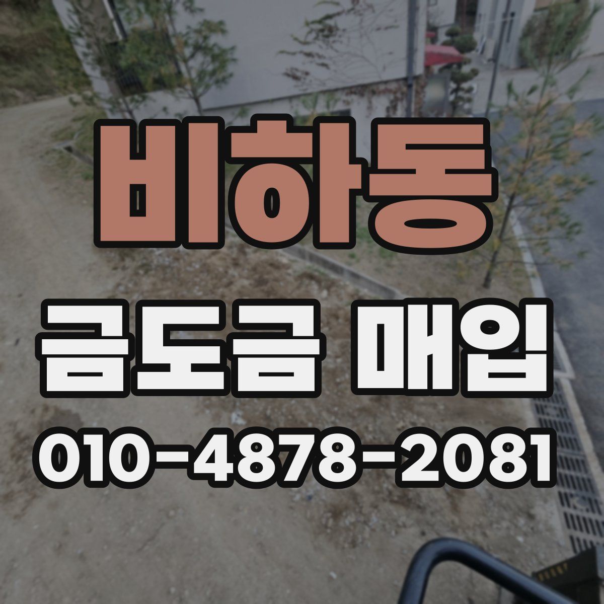 비하동 금도금 매입