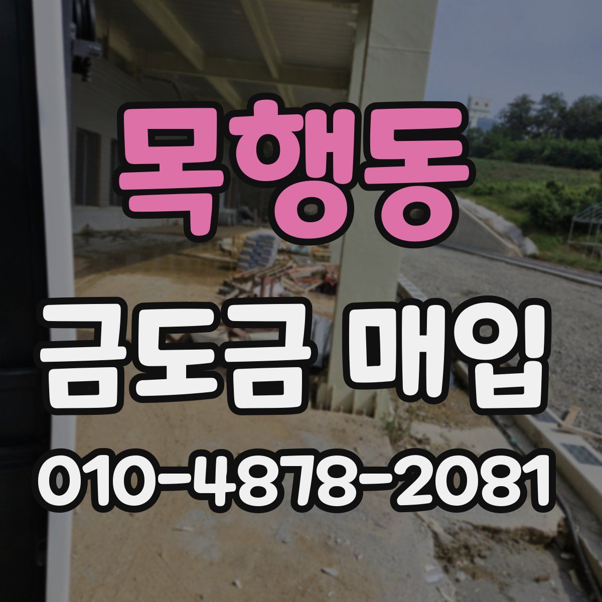 목행동 금도금 매입