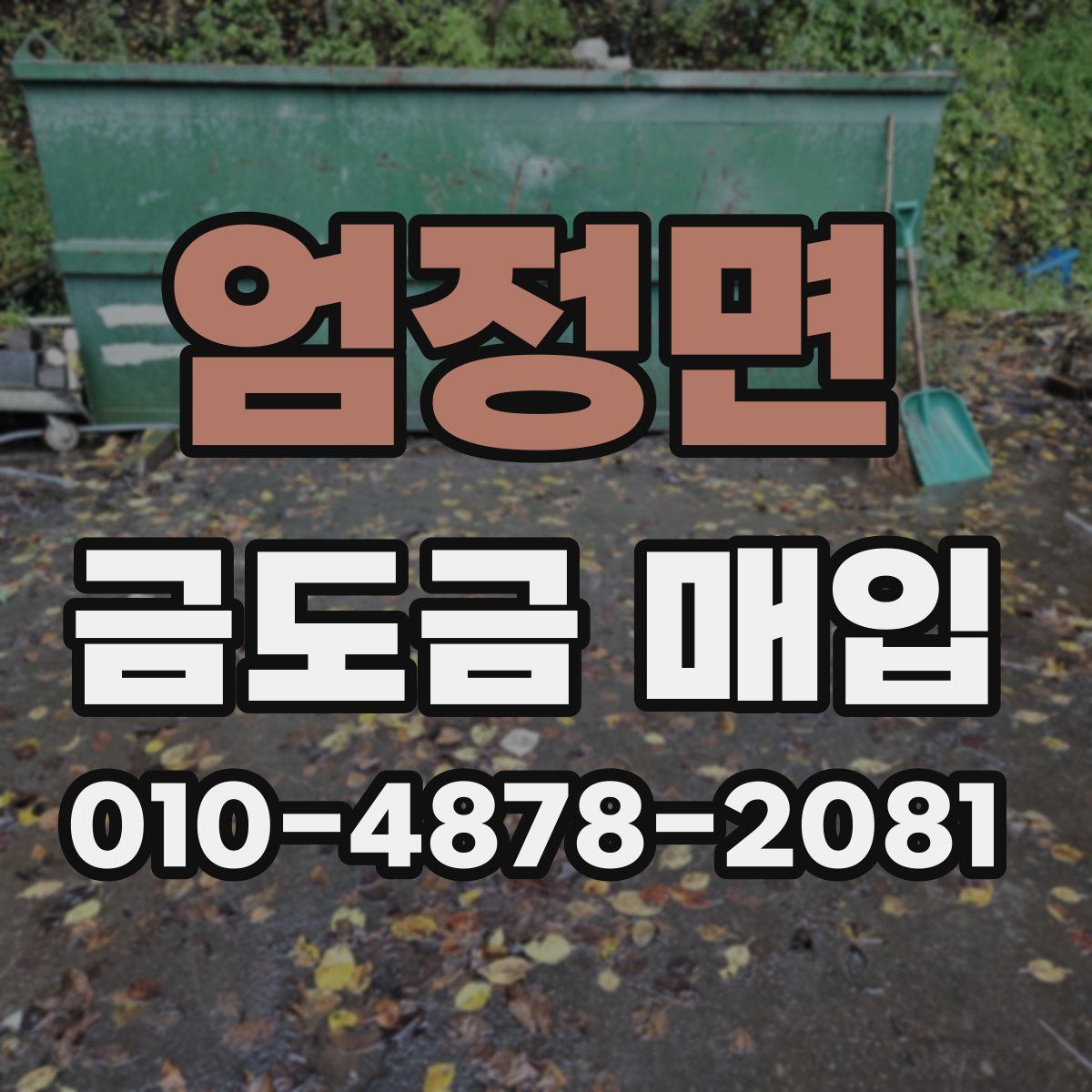 엄정면 금도금 매입