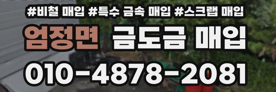 엄정면 금도금 매입