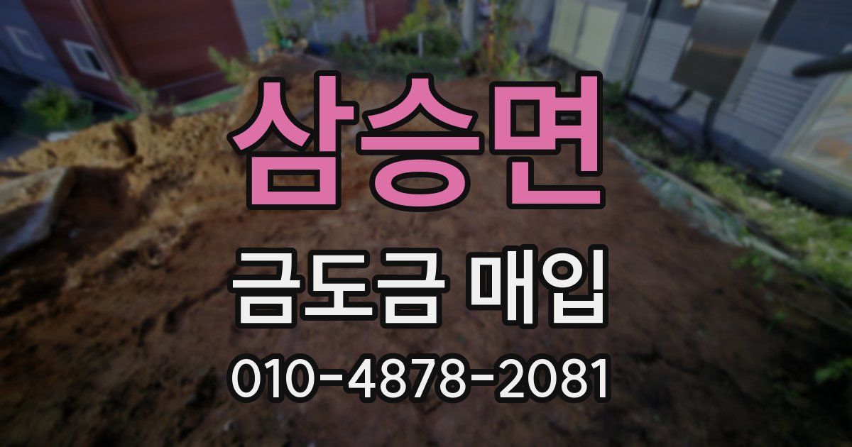 삼승면 금도금 매입