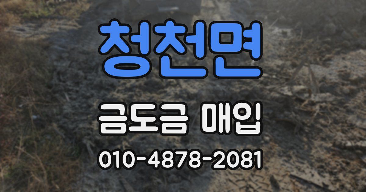 청천면 금도금 매입