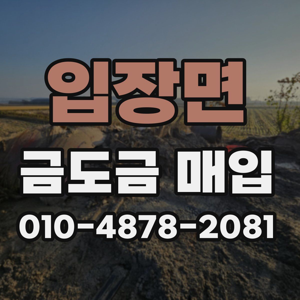 입장면 금도금 매입