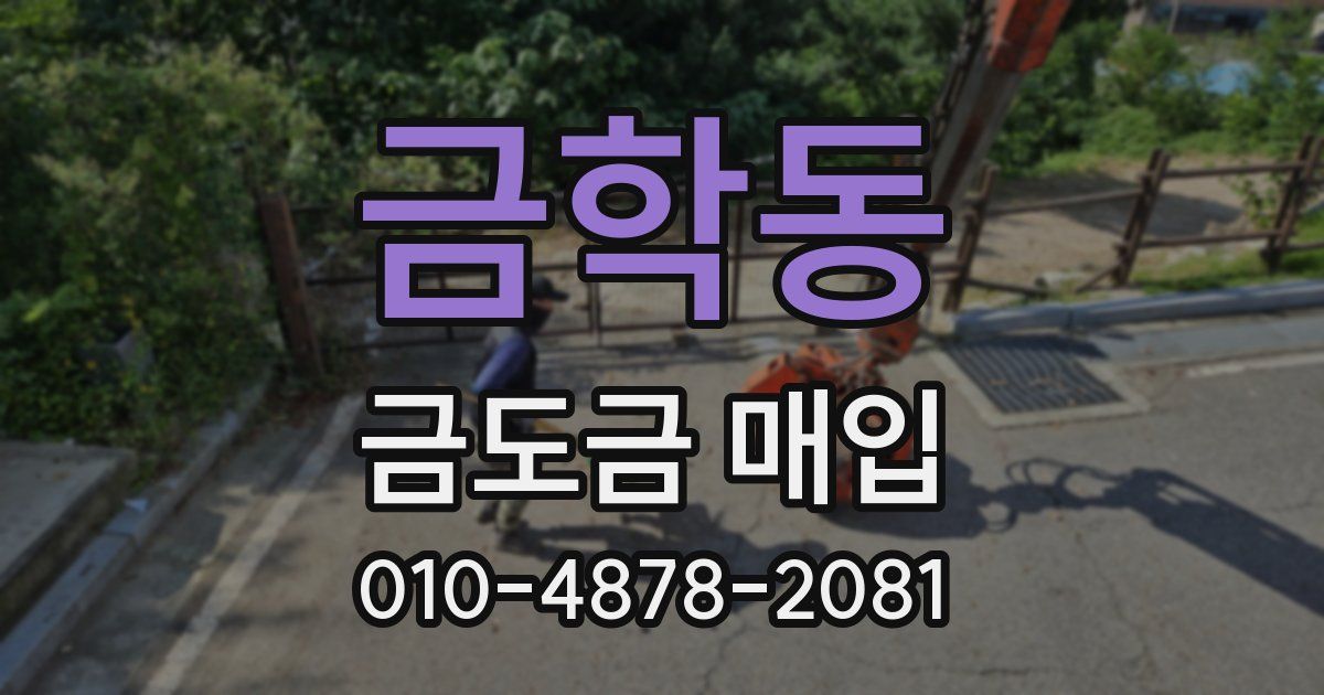 금학동 금도금 매입