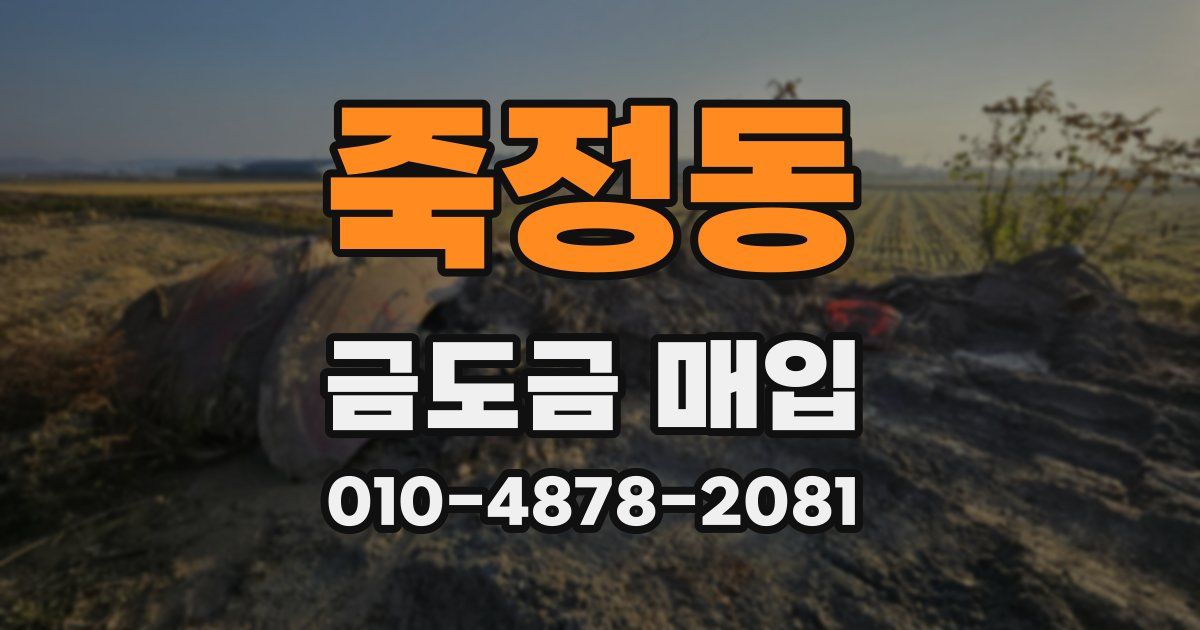 죽정동 금도금 매입