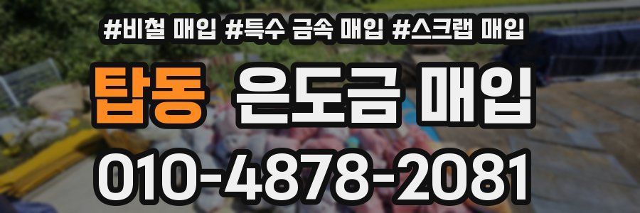 탑동 은도금 매입