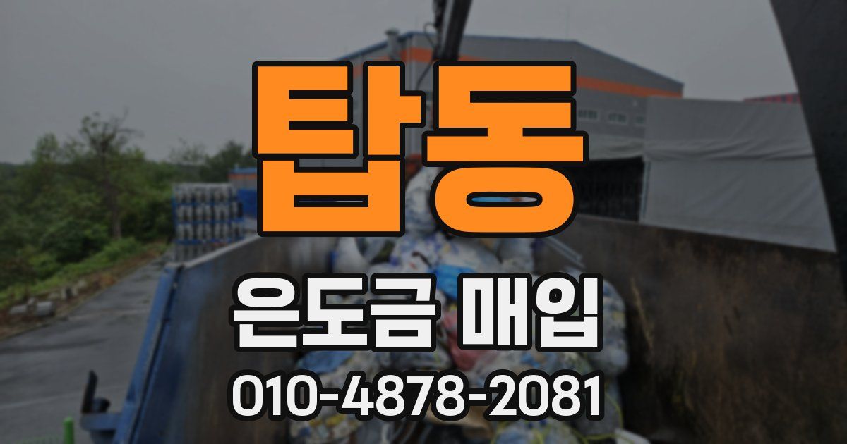탑동 은도금 매입