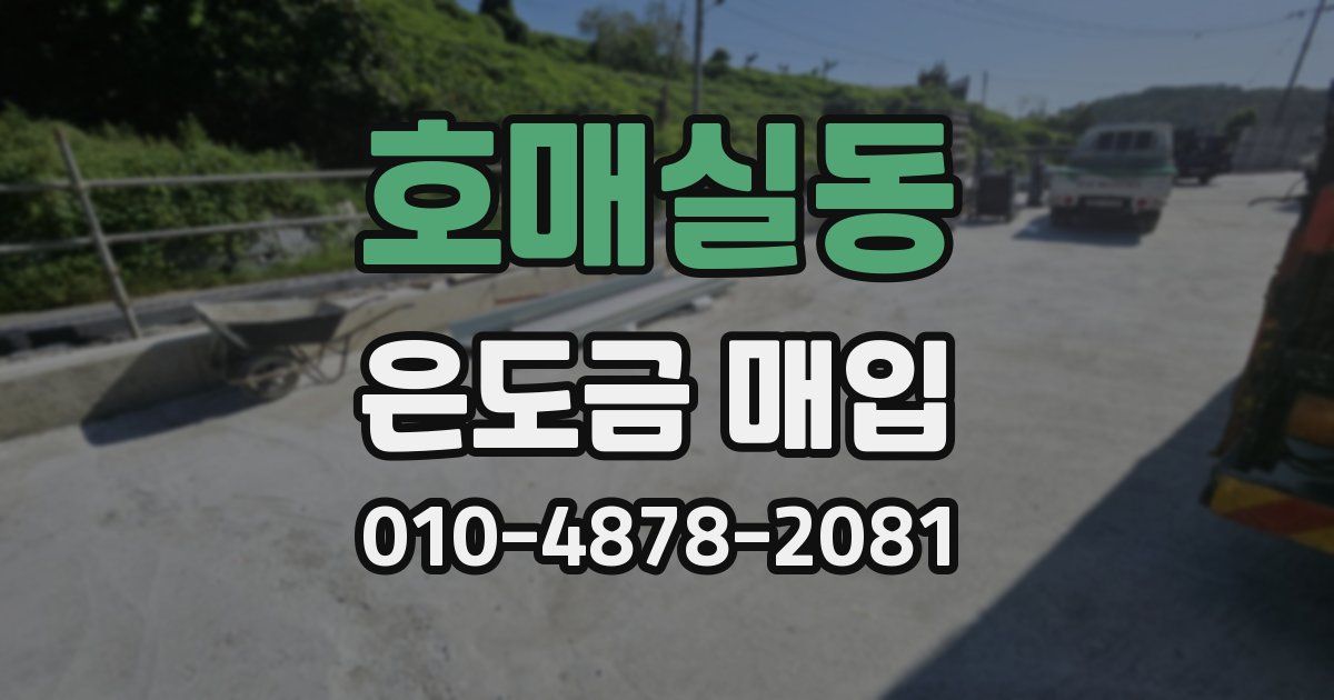 호매실동 은도금 매입