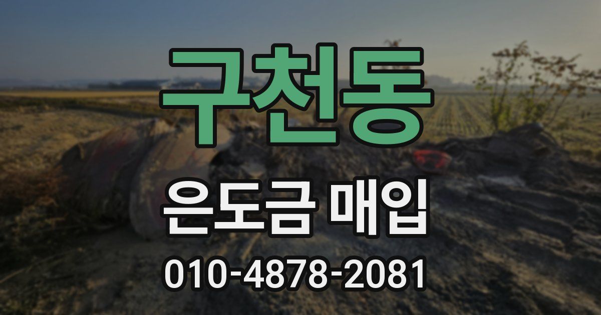 구천동 은도금 매입