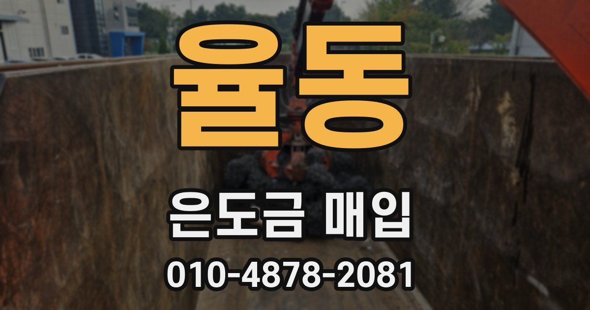 율동 은도금 매입