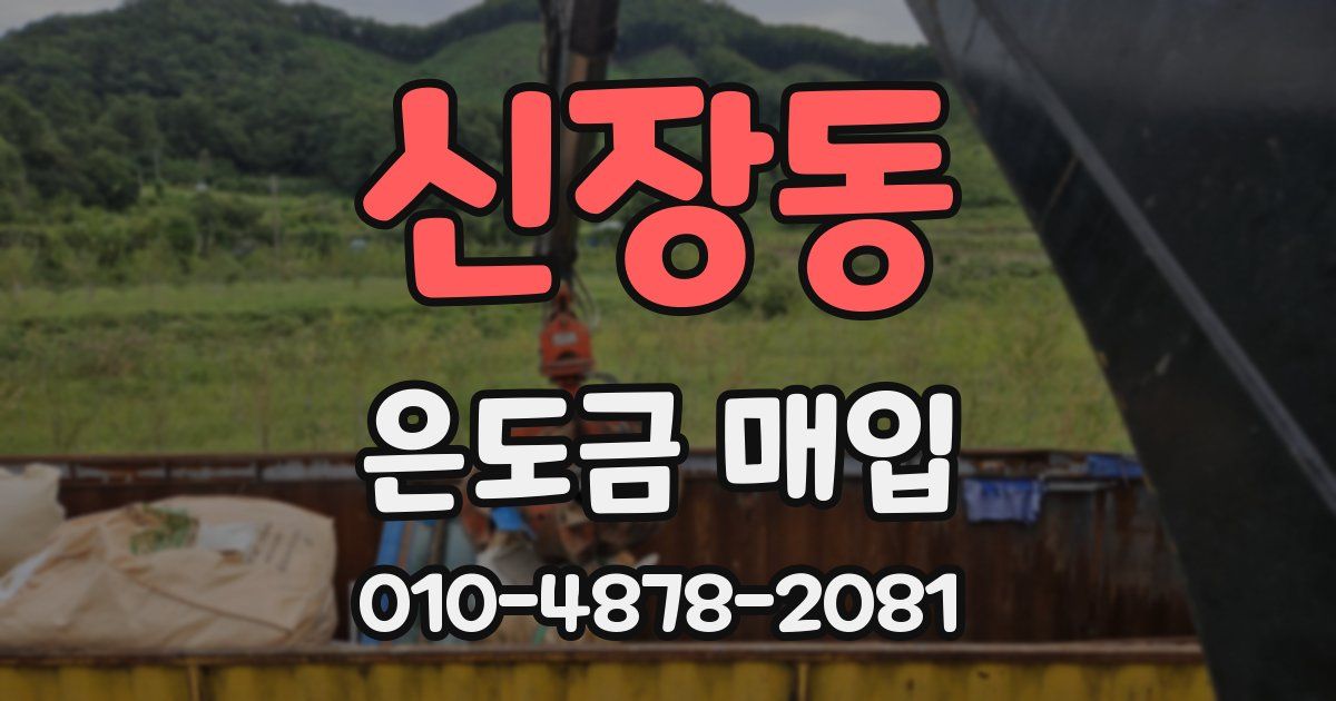신장동 은도금 매입