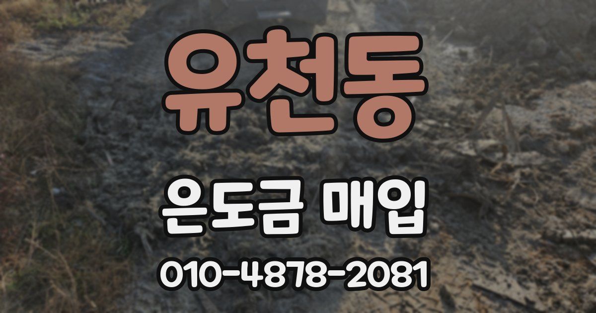유천동 은도금 매입