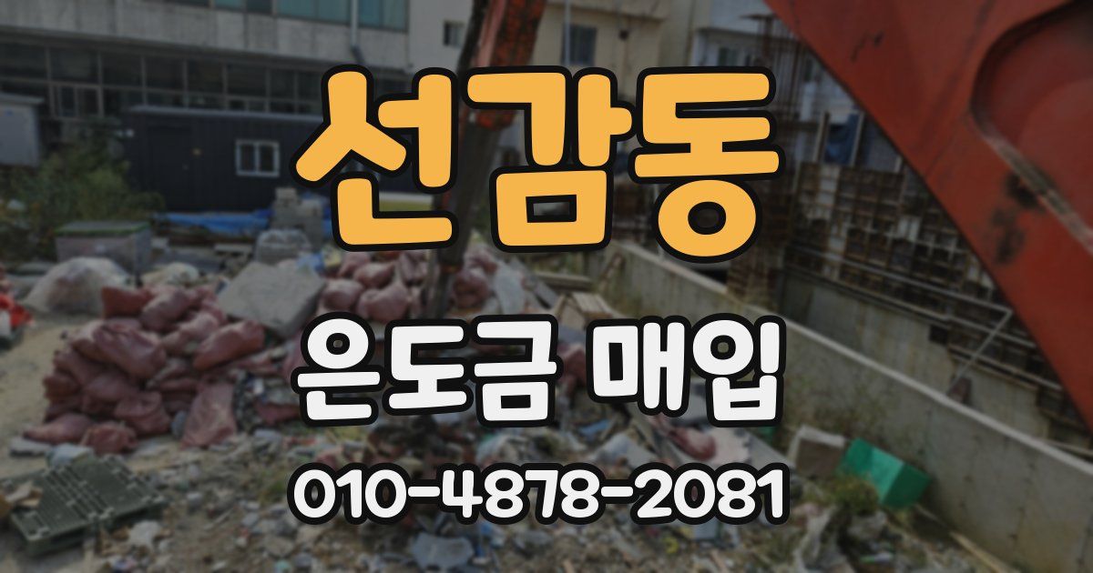 선감동 은도금 매입
