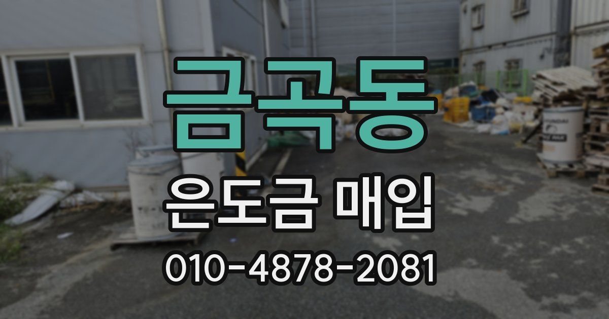 금곡동 은도금 매입