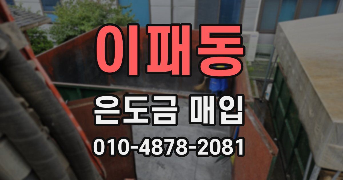 이패동 은도금 매입