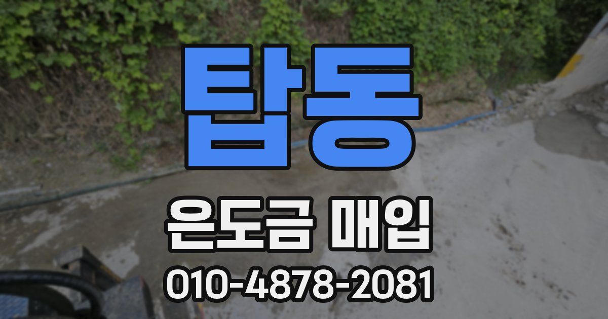 탑동 은도금 매입