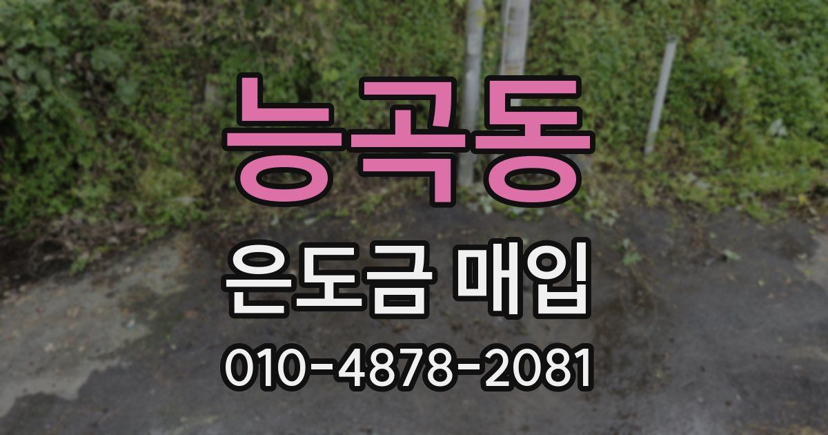 능곡동 은도금 매입