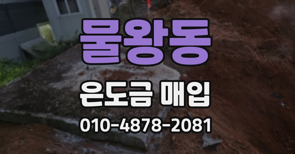 물왕동 은도금 매입