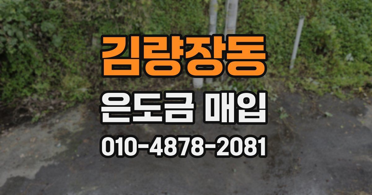 김량장동 은도금 매입