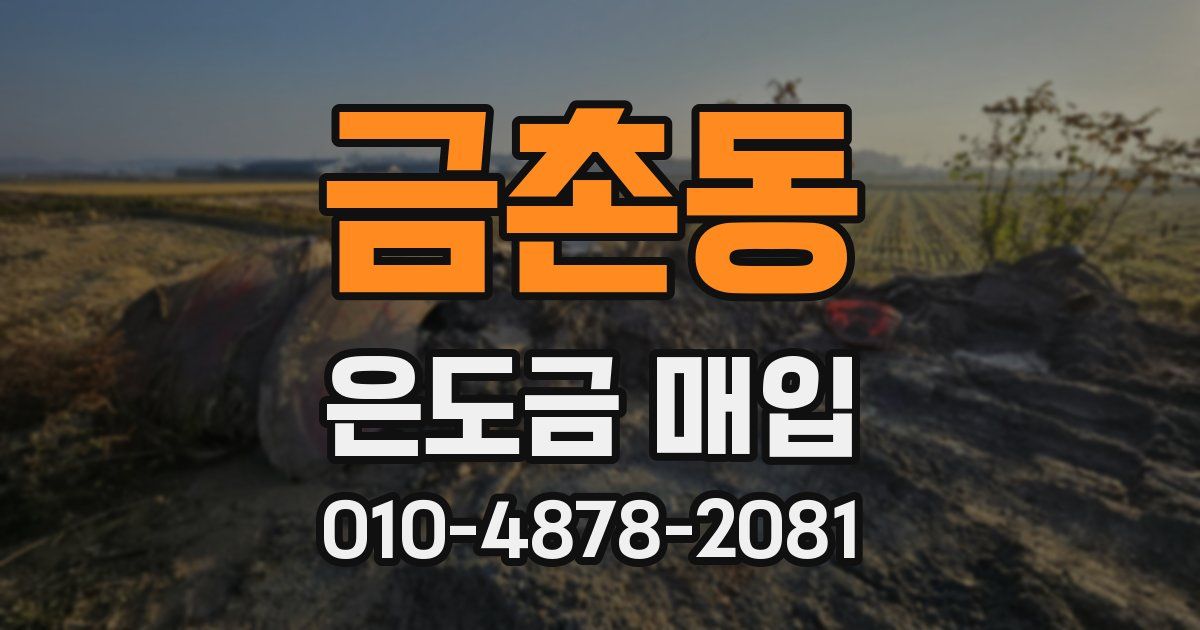 금촌동 은도금 매입