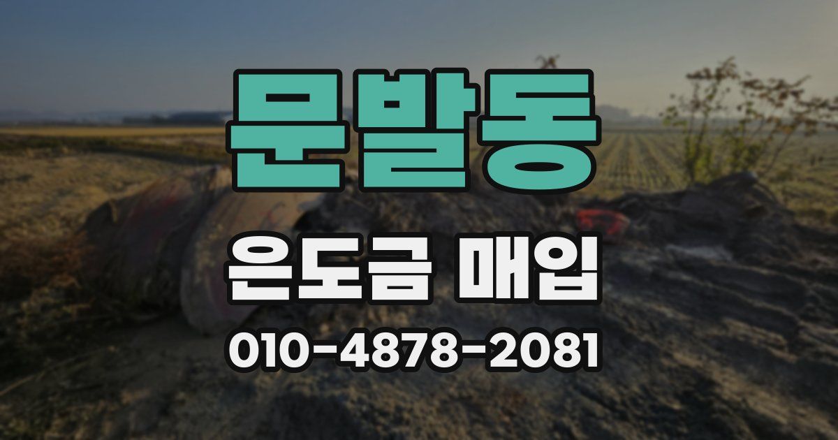 문발동 은도금 매입