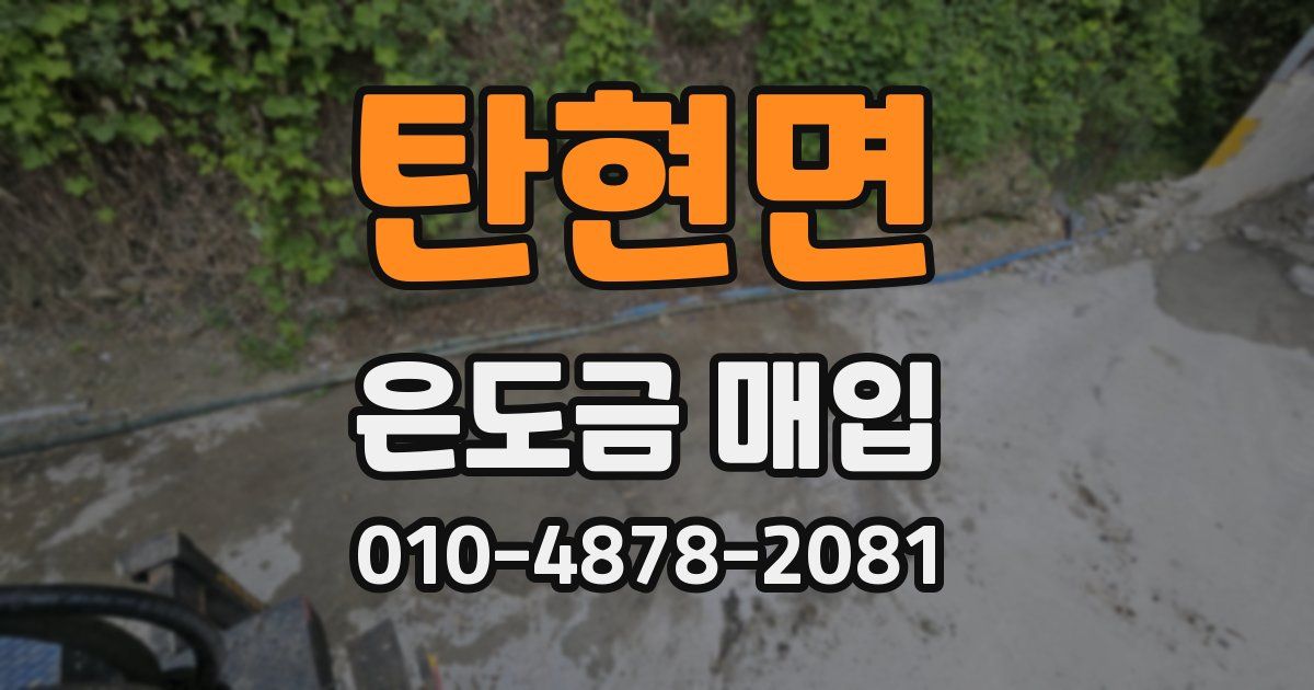 탄현면 은도금 매입