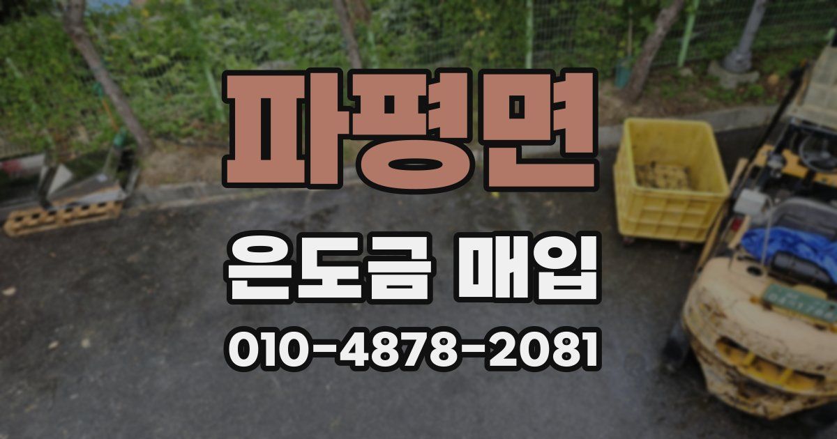 파평면 은도금 매입