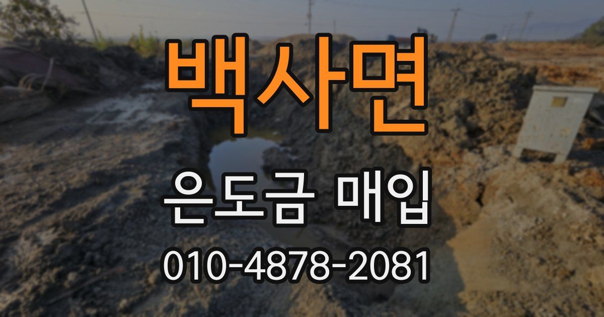 백사면 은도금 매입