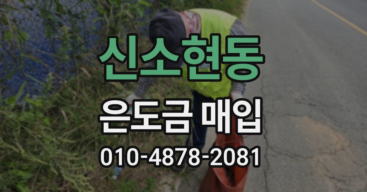 신소현동 은도금 매입