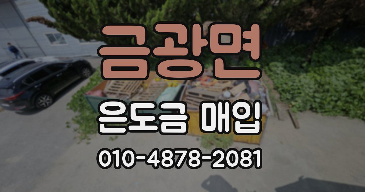 금광면 은도금 매입