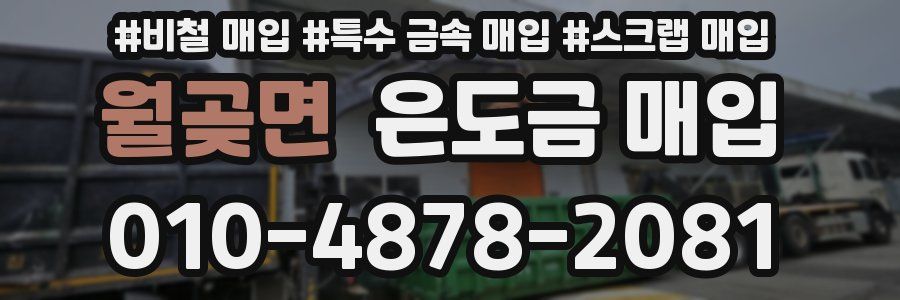 월곶면 은도금 매입