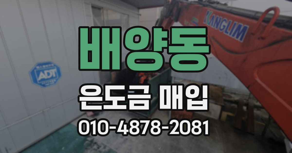 배양동 은도금 매입