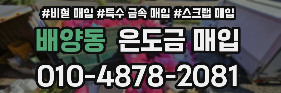 배양동 은도금 매입