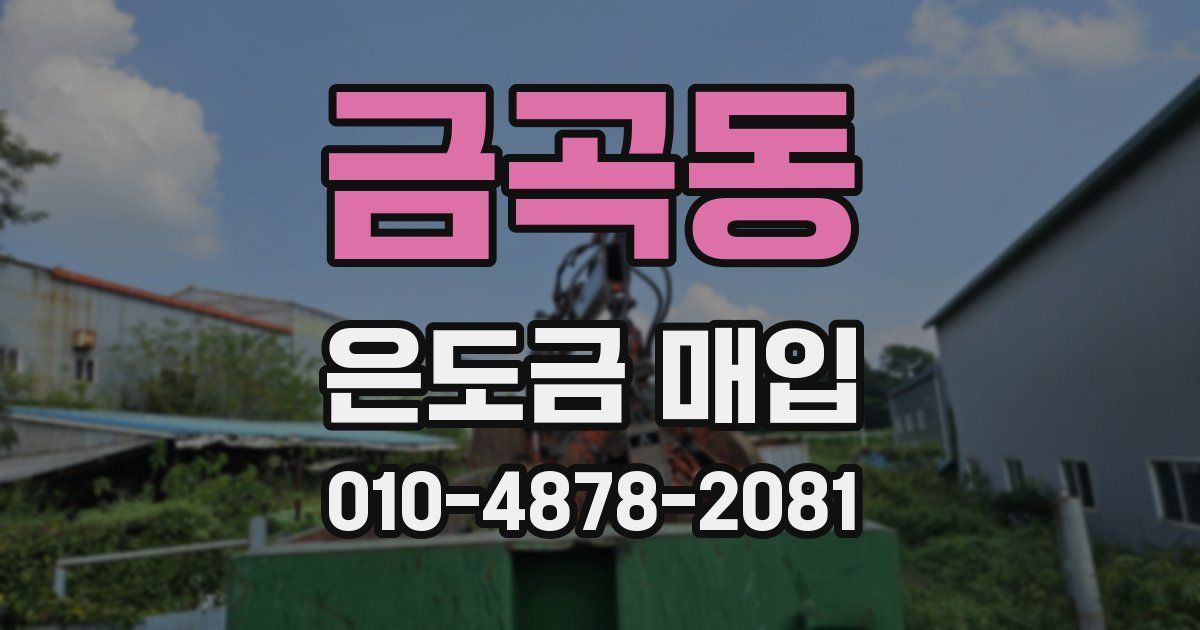 금곡동 은도금 매입