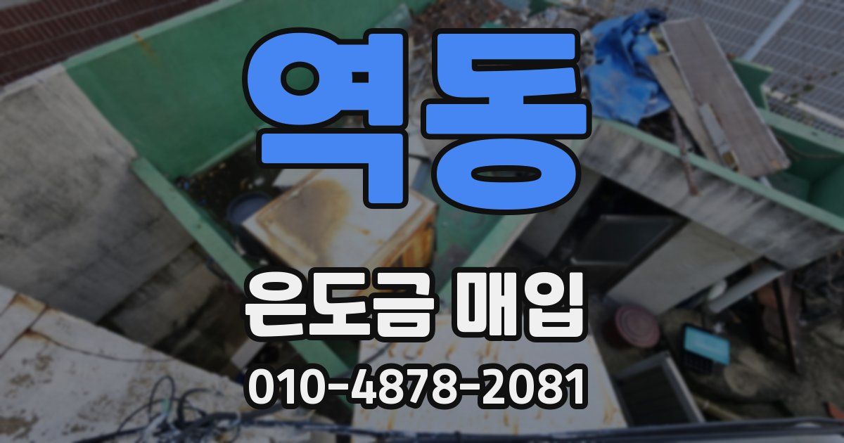 역동 은도금 매입
